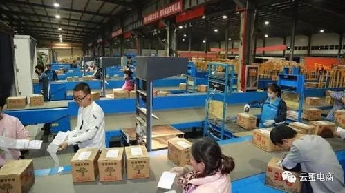 陜西電商迎來(lái)井噴式增長(zhǎng) 2017雙11西安領(lǐng)跑西北電商扶貧