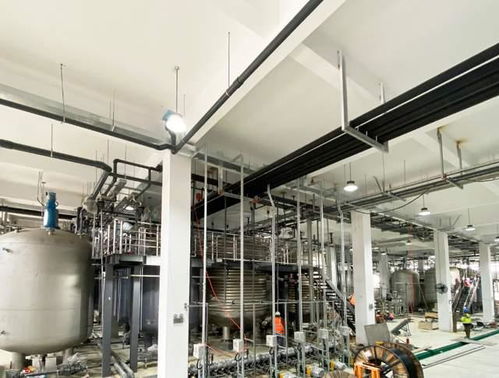 科學(xué)家發(fā)現(xiàn)衰老逆轉(zhuǎn)關(guān)鍵分子，富人圈爭(zhēng)相追捧，市場(chǎng)規(guī)模或達(dá)300億